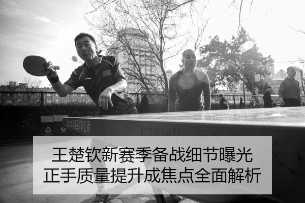 王楚钦新赛季备战细节曝光 正手质量提升成焦点全面解析