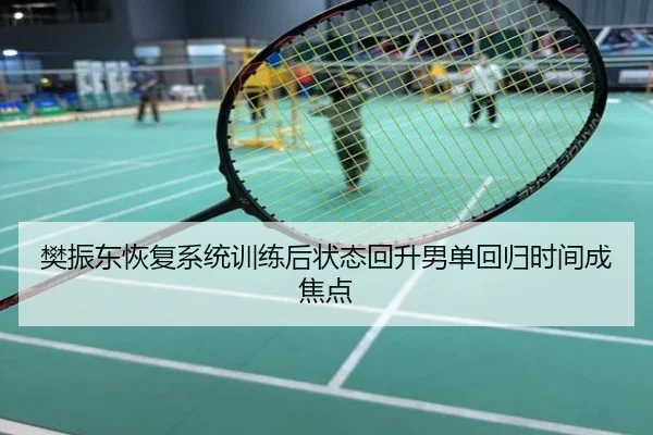 樊振东恢复系统训练后状态回升男单回归时间成焦点